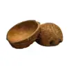 Coconut Shells